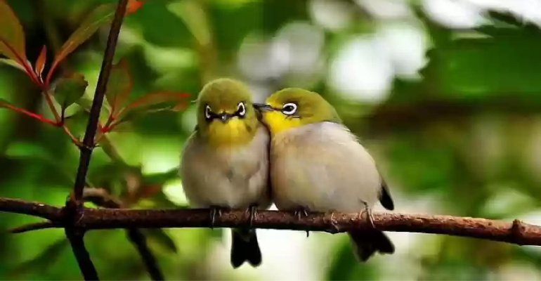 Unique Love Shayari