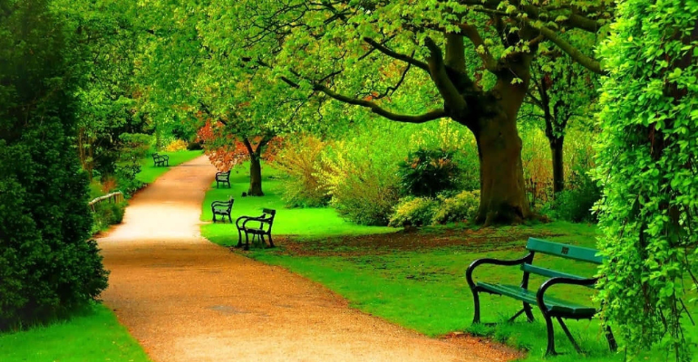 Two Line Shayari