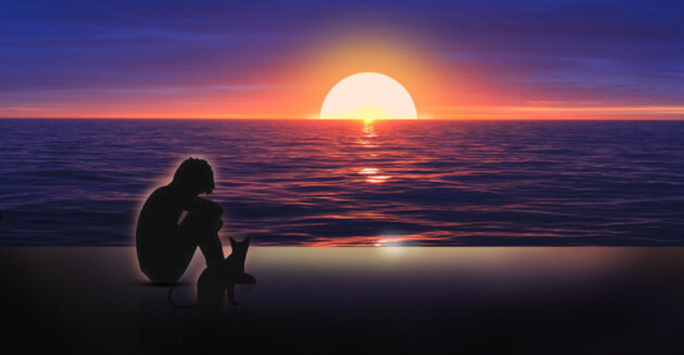 Boy Sad Life