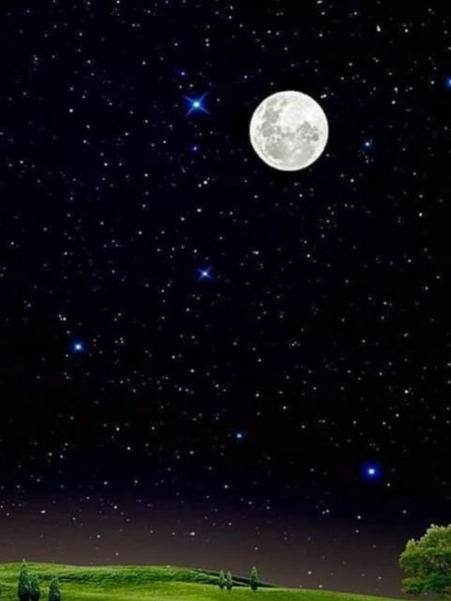 Good Night Shayari
