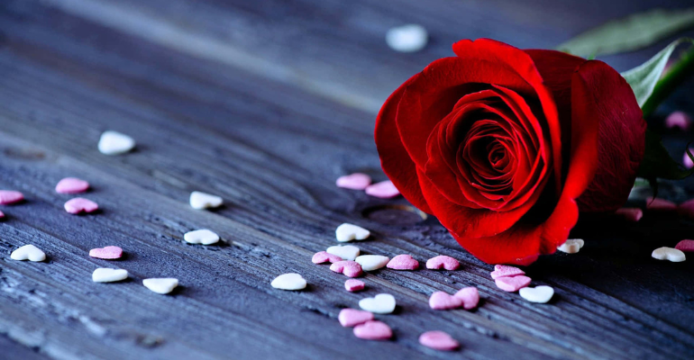True Love Shayari