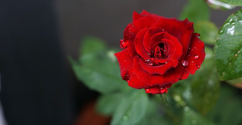 Best Love Shayari